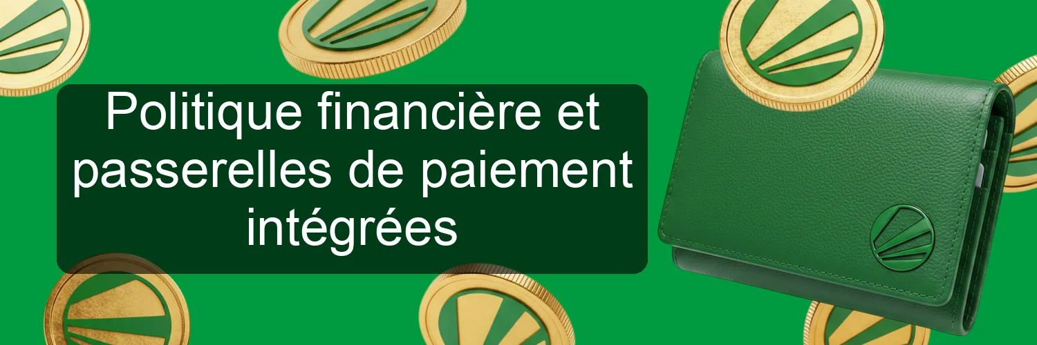 Politique financière et passerelles de paiement intégrées